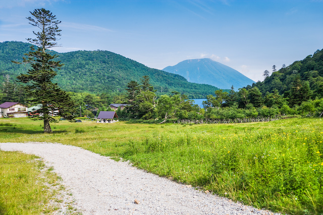 農地の売買・転用等